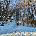 Lesna - Jestesmy 15km Od Energylandii, Wolnostojacy, Beskid Maly