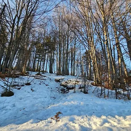 Lesna - Jestesmy 15km Od Energylandii, Wolnostojacy, Beskid Maly